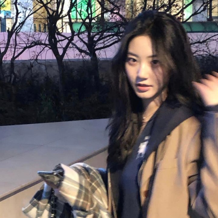 西西里著名的熊入侵事件